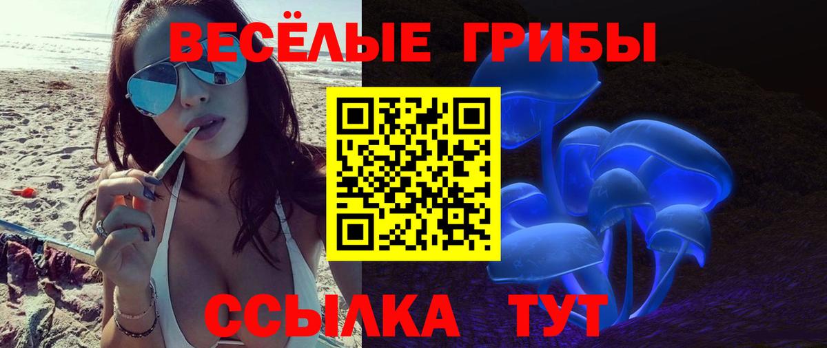 Галлюциногенные грибы мицелий Касимов